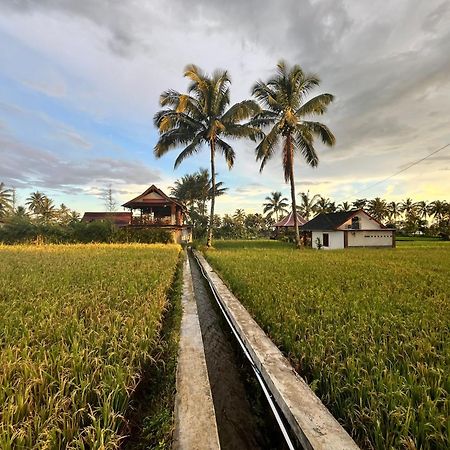 Rice Field Inn - Lombok เตเตบาตู ภายนอก รูปภาพ