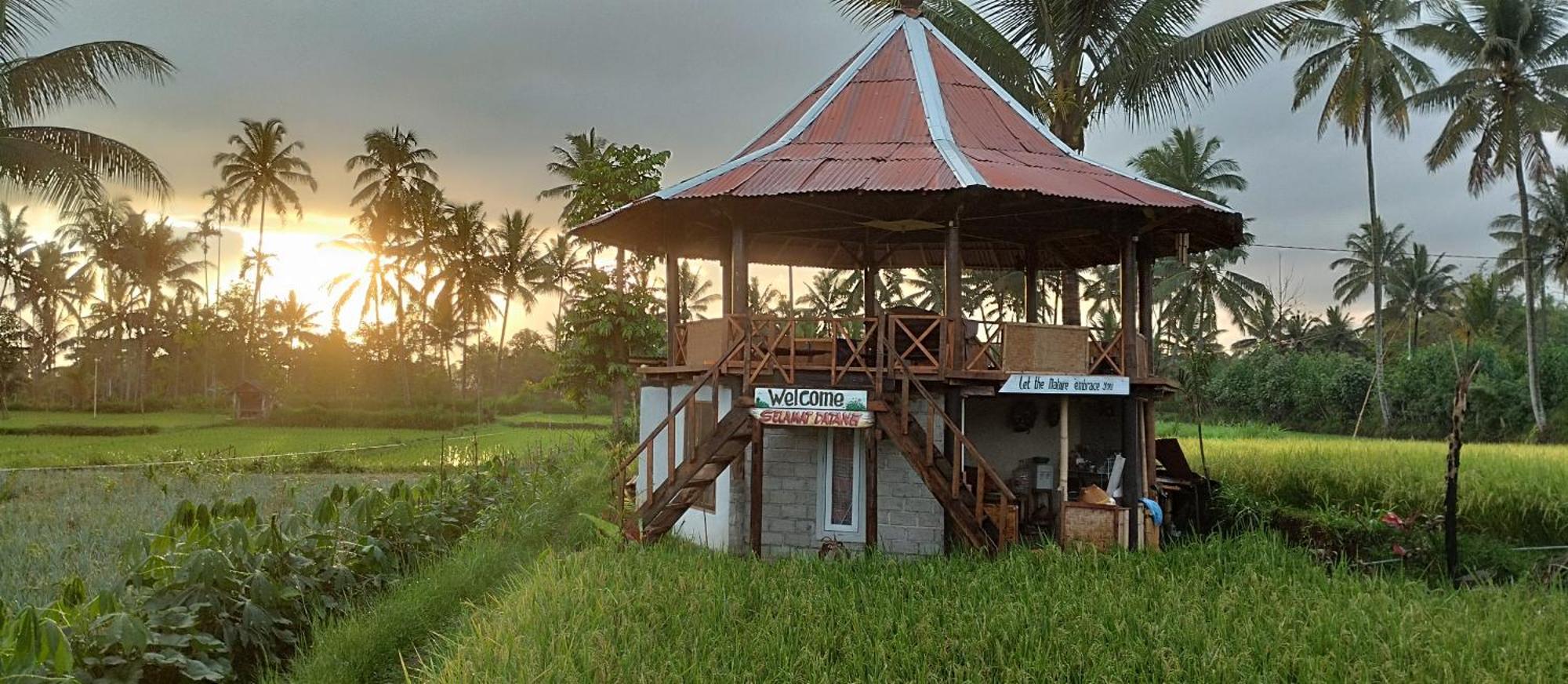 Rice Field Inn - Lombok เตเตบาตู ภายนอก รูปภาพ