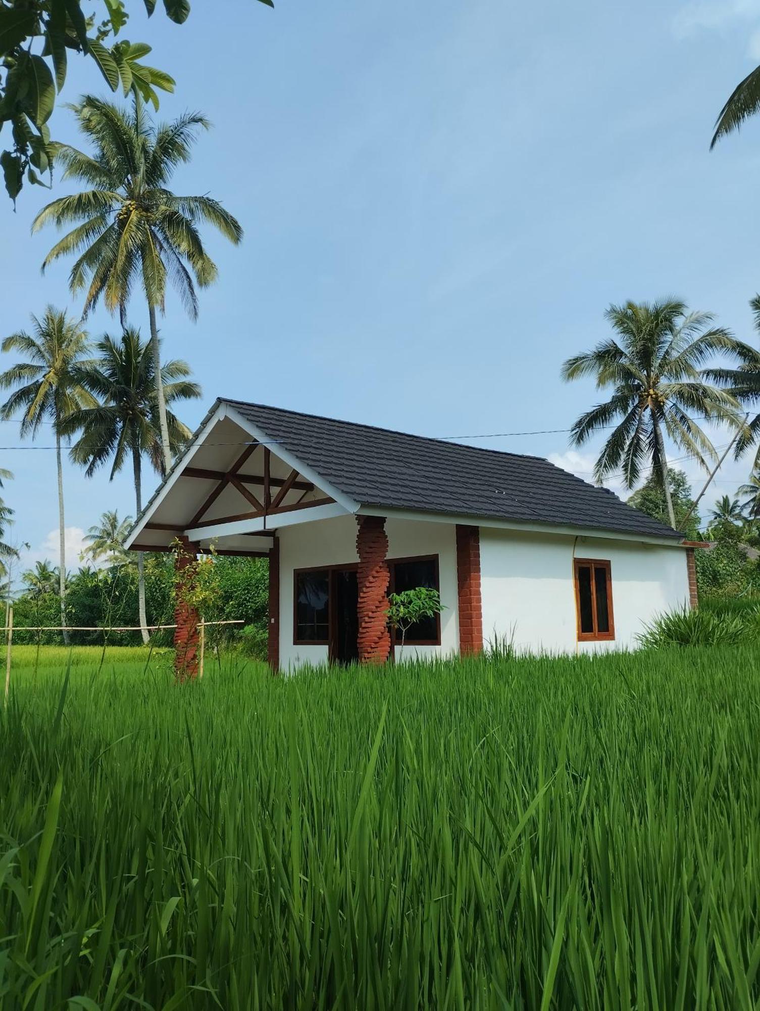 Rice Field Inn - Lombok เตเตบาตู ห้อง รูปภาพ