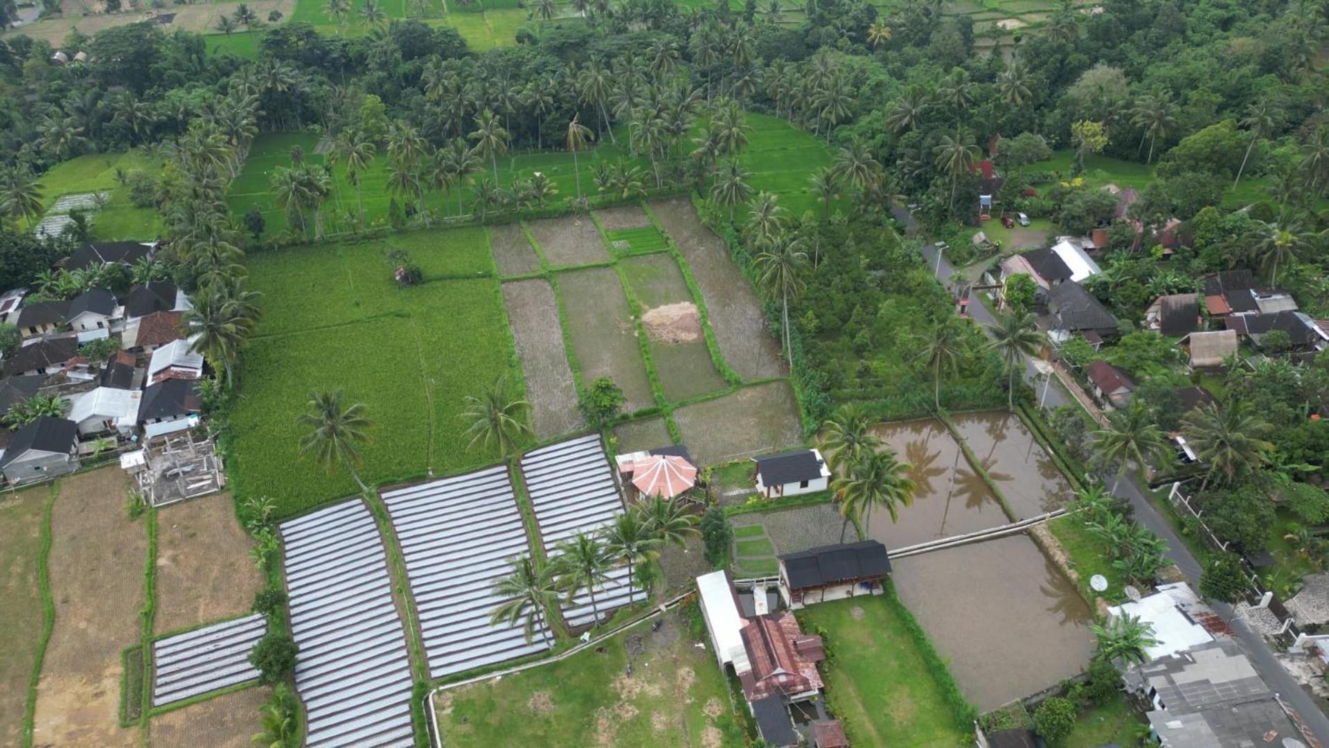 Rice Field Inn - Lombok เตเตบาตู ภายนอก รูปภาพ