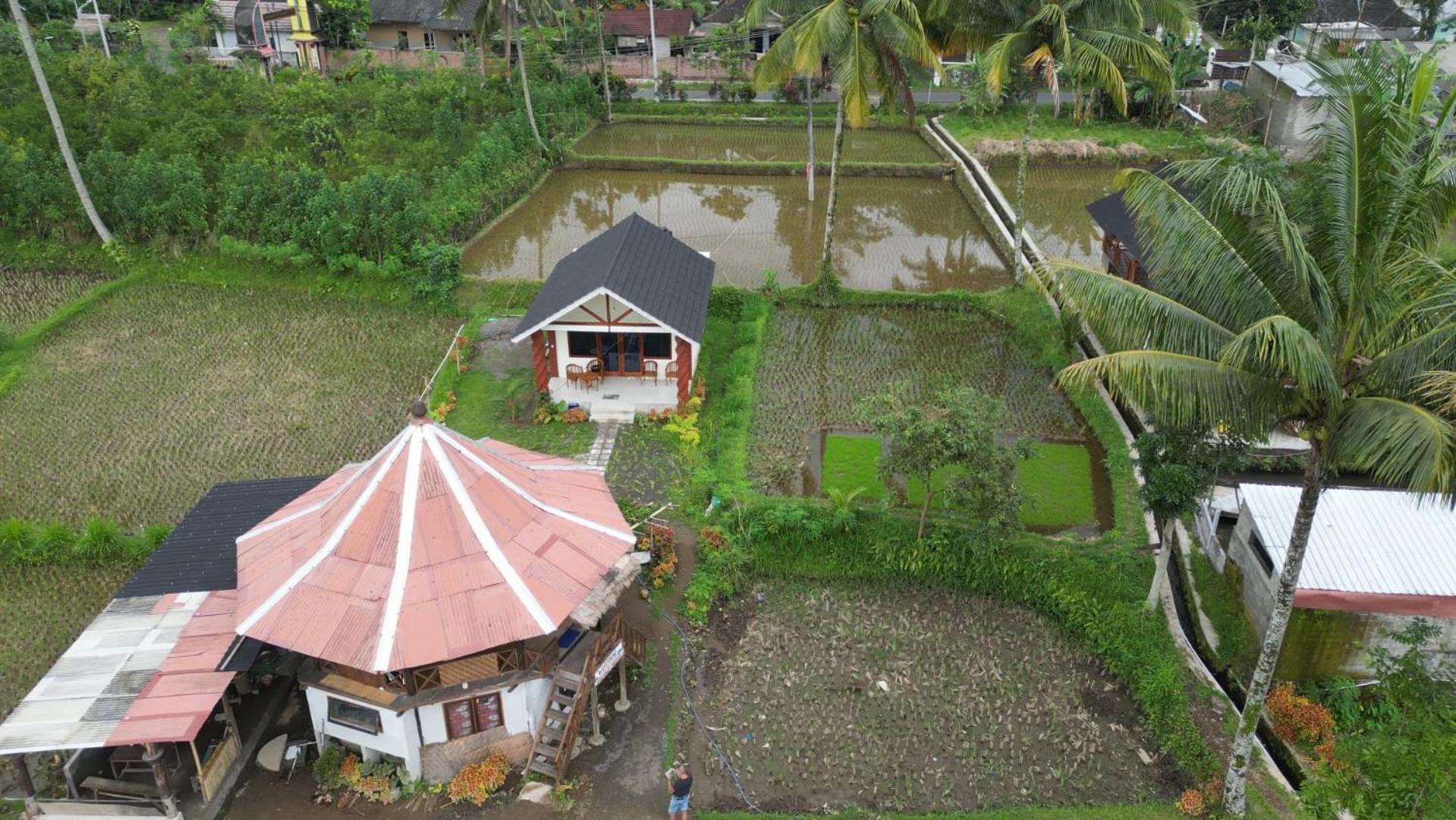 Rice Field Inn - Lombok เตเตบาตู ภายนอก รูปภาพ