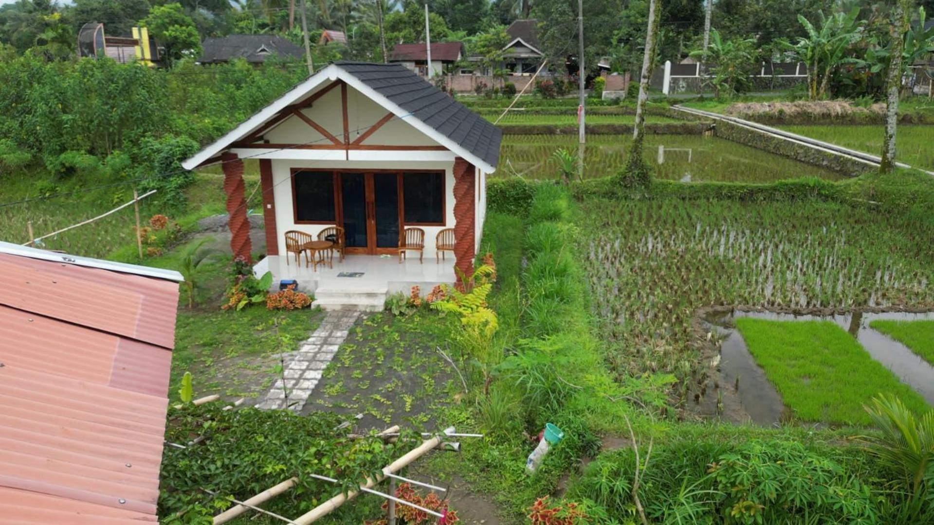 Rice Field Inn - Lombok เตเตบาตู ภายนอก รูปภาพ