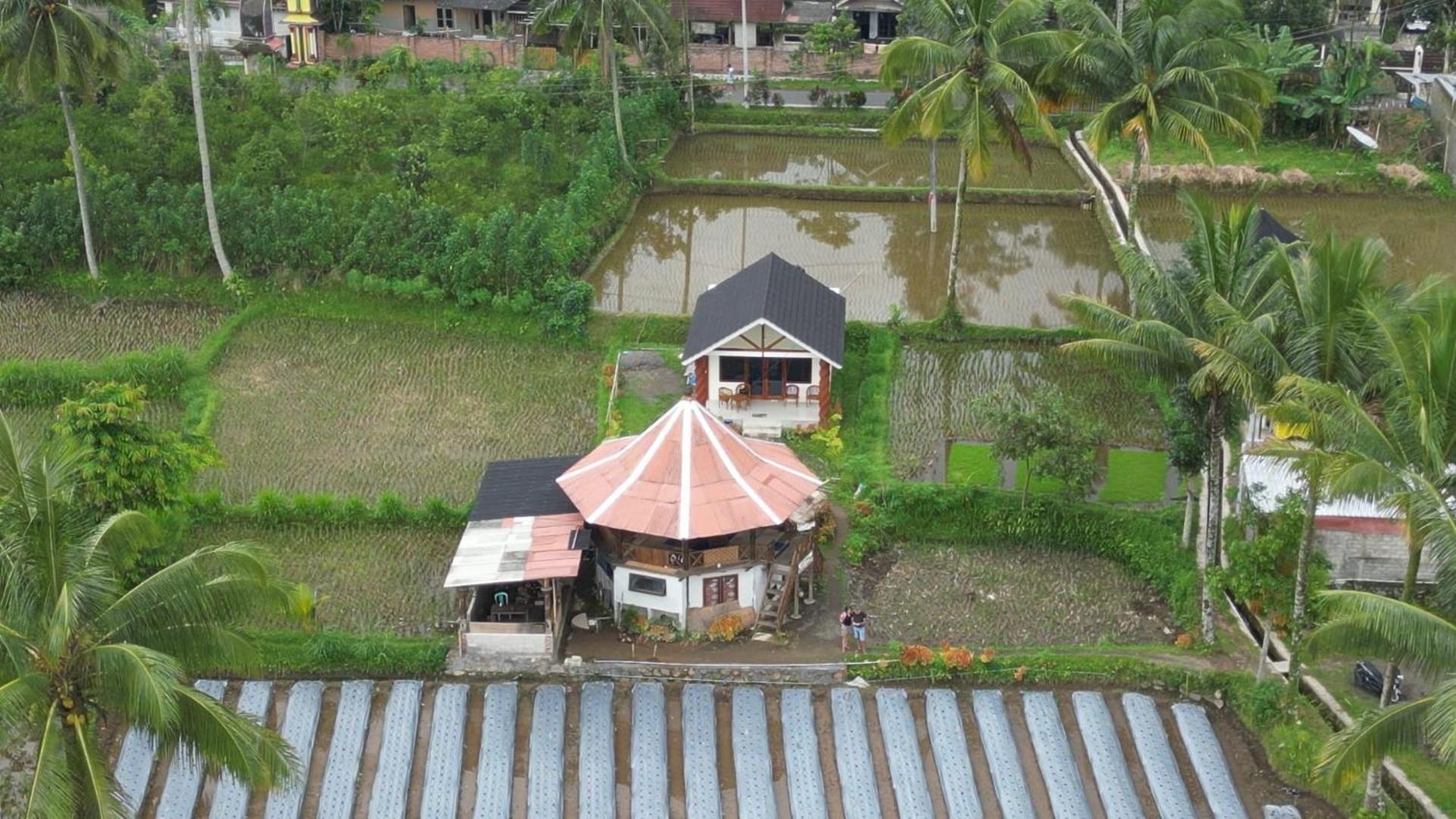Rice Field Inn - Lombok เตเตบาตู ภายนอก รูปภาพ