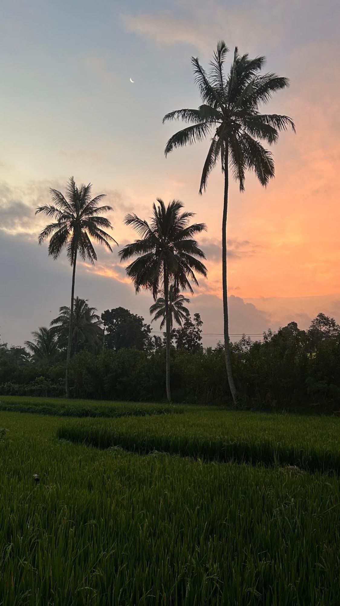 Rice Field Inn - Lombok เตเตบาตู ภายนอก รูปภาพ
